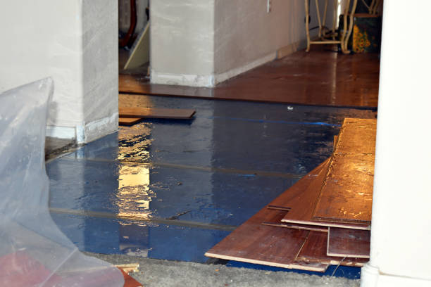 Professional Burst Pipe Cleanup technician working in Institute, WV
